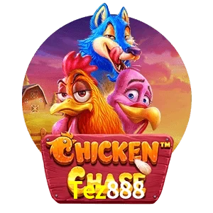 Tez888 — Chicken Chase crash game | Play on Android APK & iPhone for real money | Hacksaw Gaming